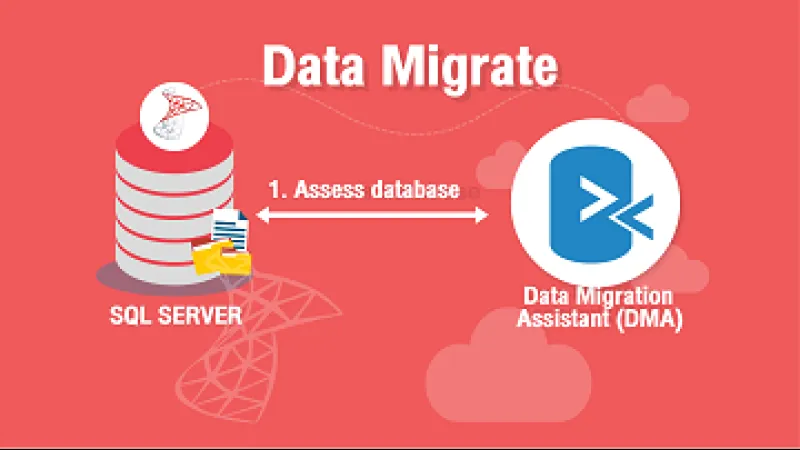 Data Migrate