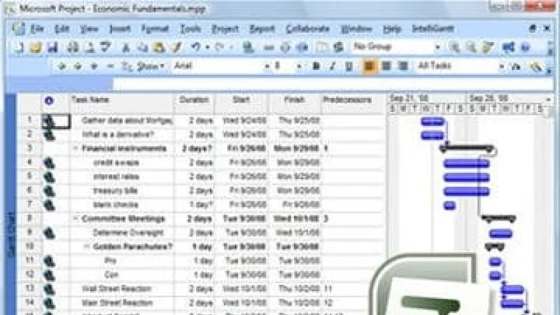 Microsoft Project Management