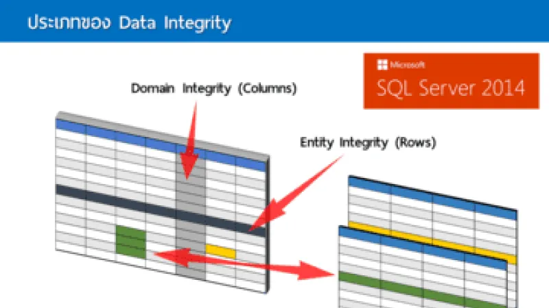 เรียนรู้ประเภทของ Data Integrity