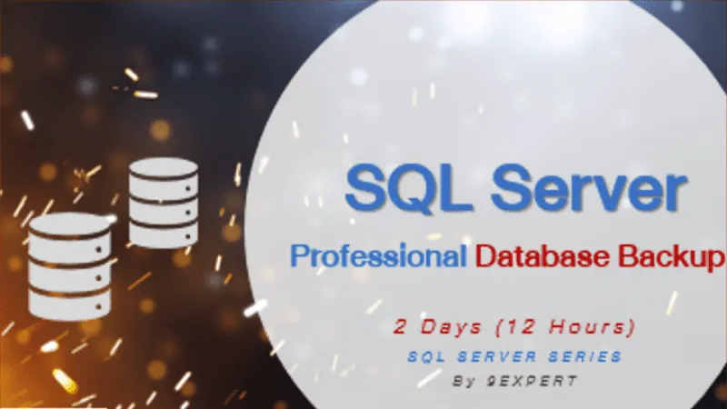 Professional SQL Server Database Backup Course