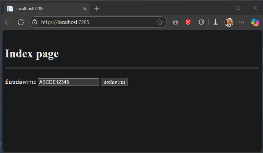 วิธีทดสอบโปรแกรม