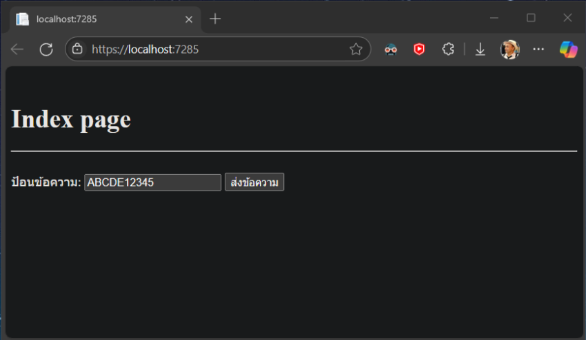 วิธีทดสอบโปรแกรม